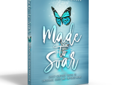 Made to Soar Book
